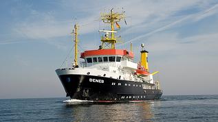 Deneb