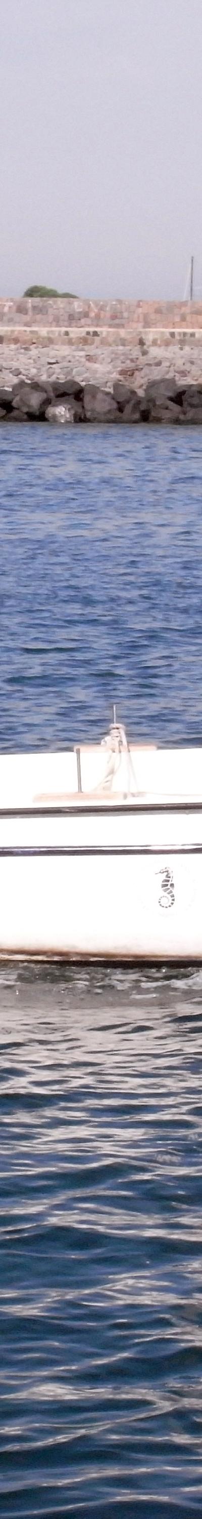 Dohrn