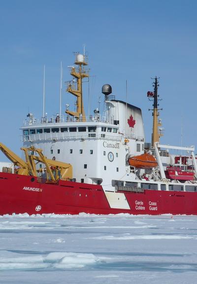 Amundsen (CCGS)
