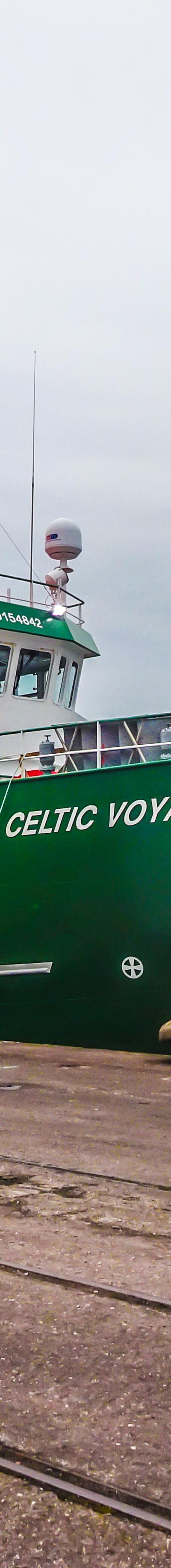 Celtic Voyager
