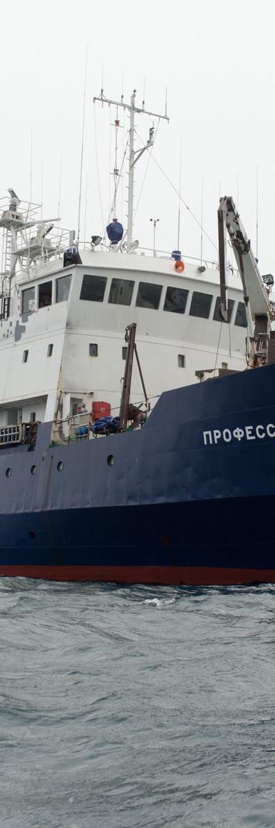 PROFESSOR MULTANOVSKIY